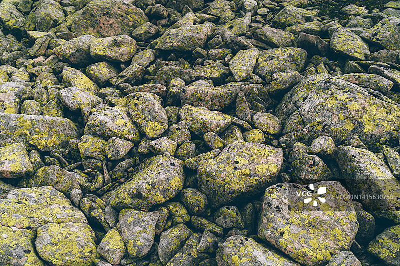 海石与明亮和充满活力的霓虹绿色苔藓图片素材
