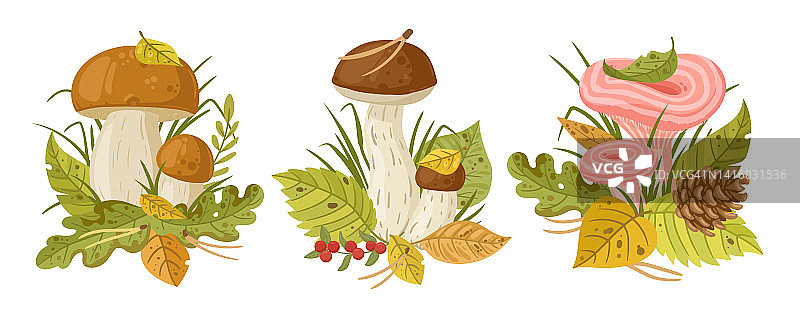 卡通可食用森林蘑菇与叶和草。秋季季节性蘑菇平面矢量插图集。有叶的林地植物图片素材