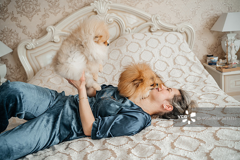 一位妇女躺在床上和两只博美斯皮兹小狗玩耍图片素材