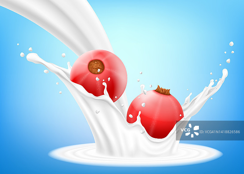加点红醋栗和牛奶或酸奶。新鲜的浆果掉进了牛奶里。3d现实矢量插图，孤立在蓝色背景。甜的食物。有机水果。图片素材