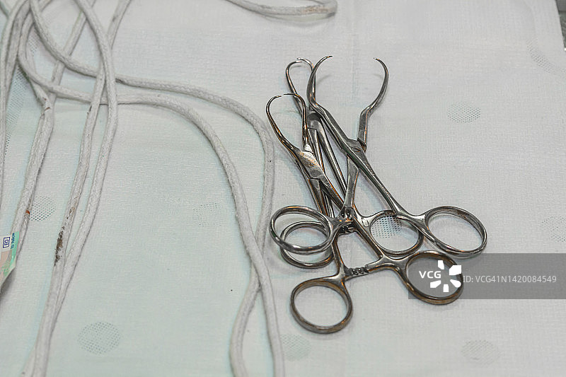 动物医院手术剪刀的特写。图片素材
