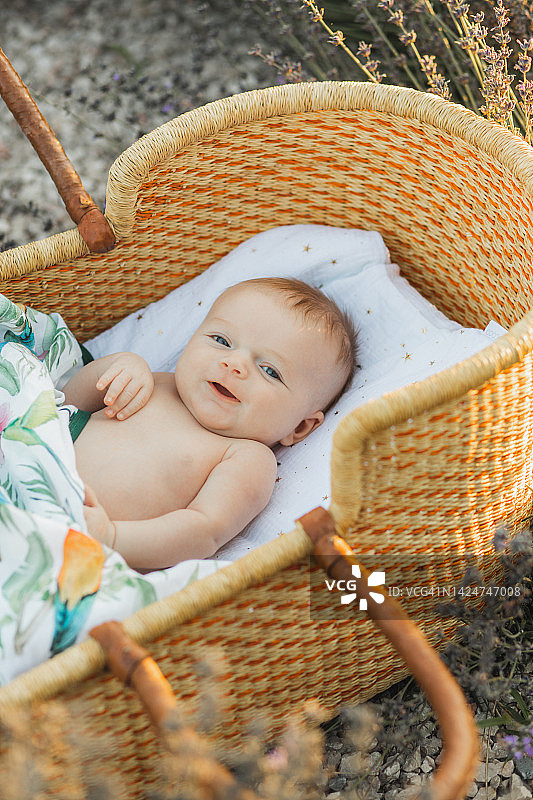 公园里，新生的婴儿躺在柳条摇篮里。图片素材