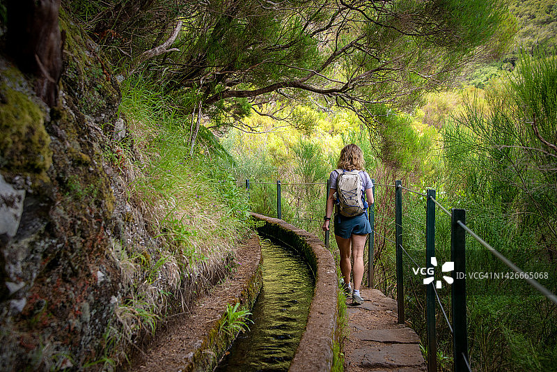 徒步旅行列瓦达小径25 Fontes在月桂树森林-路径到著名的25喷泉在美丽的风景-马德拉岛，葡萄牙图片素材