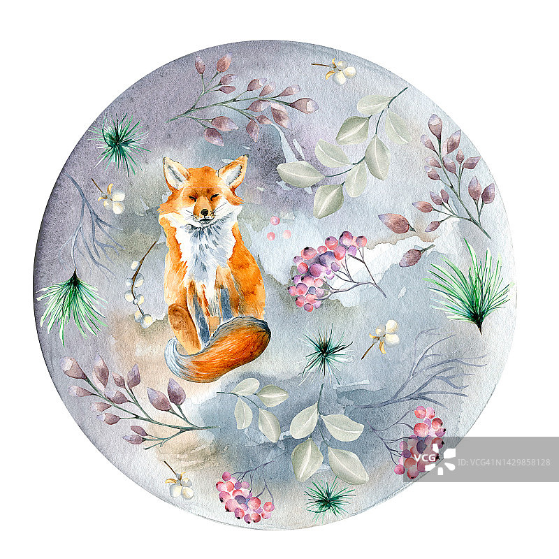 圣诞圈与狐狸水彩插图孤立的白色。图片素材