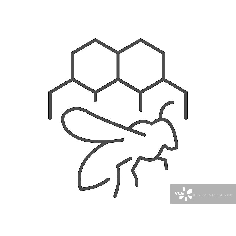 蜜蜂和蜂巢线图标图片素材