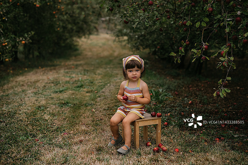 一张照片，一个穿着条纹衣服的漂亮的蹒跚学步的女孩站在苹果园里图片素材
