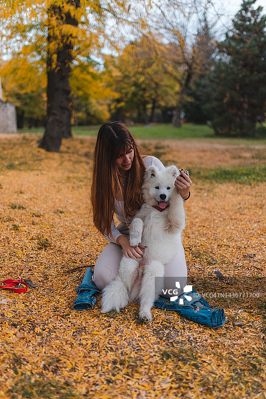 秋天，一位微笑的年轻女子在公园里和她的萨摩耶小狗玩耍图片素材