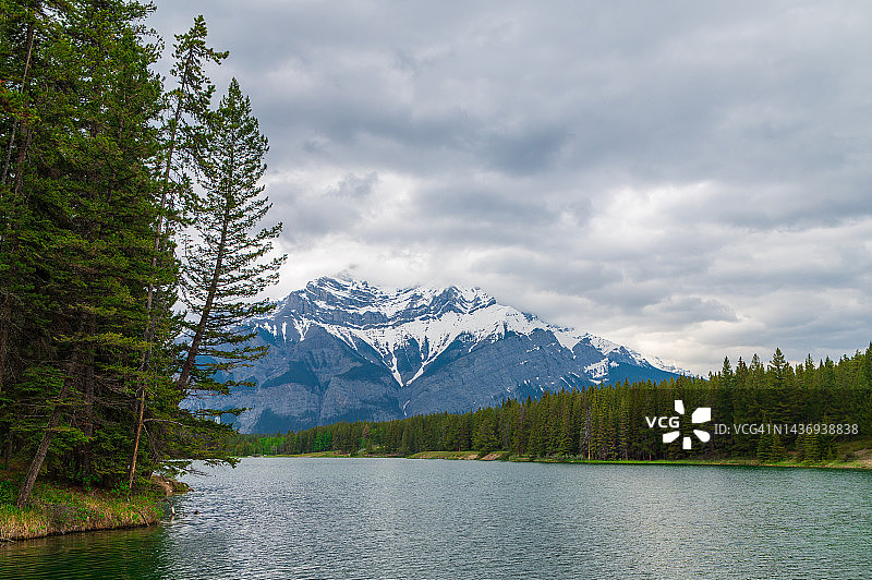 晴朗的一天，加拿大明尼万卡湖周围的树木图片素材