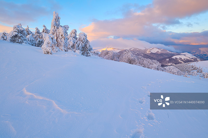冬天，下雪的天气概念。美丽的风景，山上有一棵被雪覆盖的树。雪地上的脚印。Copyspace。图片素材