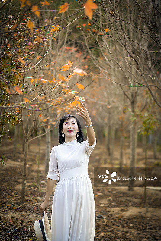 一个亚洲女人在秋天的树林里图片素材
