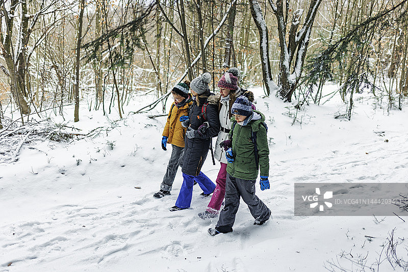 冬日里一家人在美丽的雪林里徒步旅行图片素材