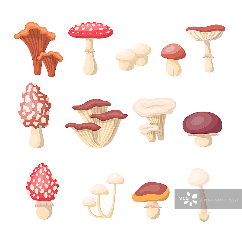 卡通不同的蘑菇图标集。向量图片素材