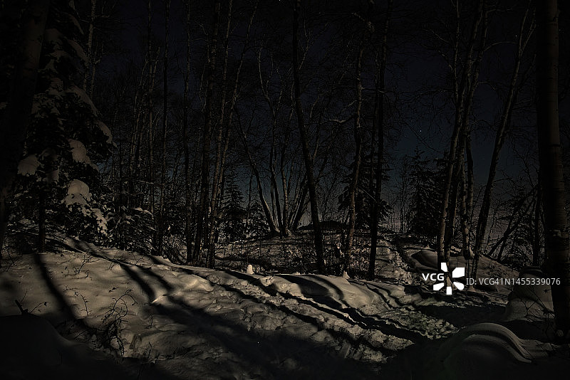 北方森林中的月光图片素材