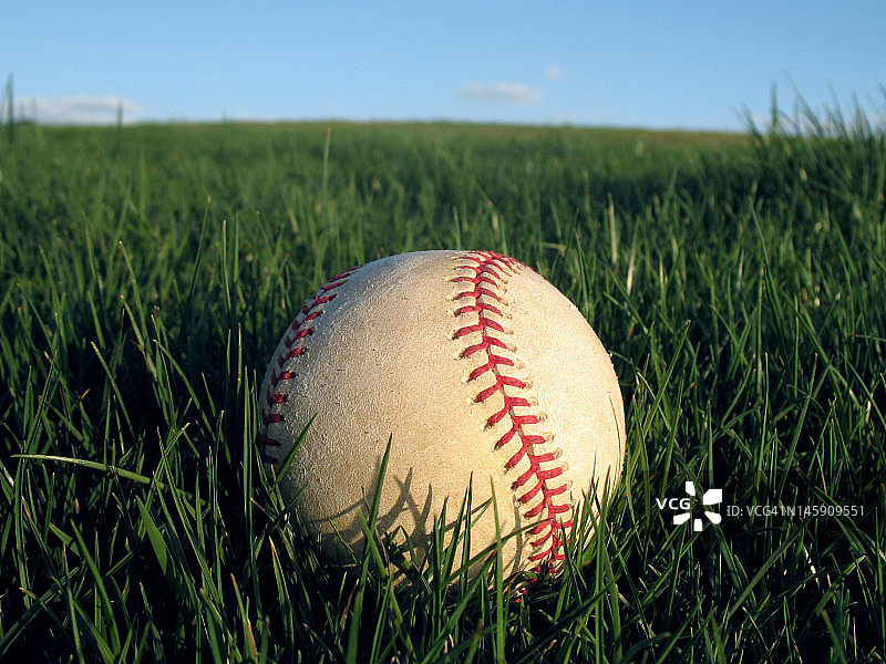 棒球在茂密的草地上休息图片素材