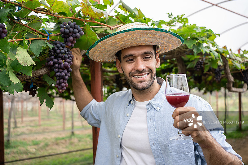 微笑的成年西班牙酿酒师拿着一杯红酒在葡萄园里测试质量。用来酿酒的葡萄种植园。图片素材
