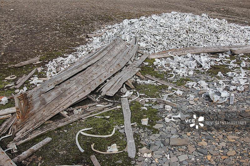 挪威斯匹次卑尔根省，贝尔松德的前捕鲸站Bamsebu，腐烂的木船和鲸骨图片素材