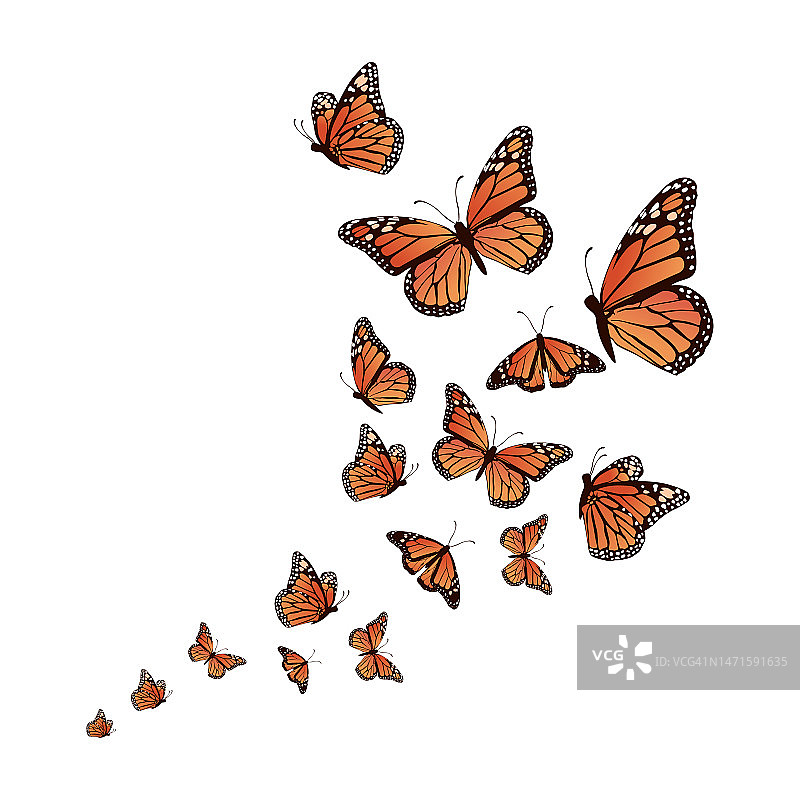 现实的背景蝴蝶矢量插图设计图片素材