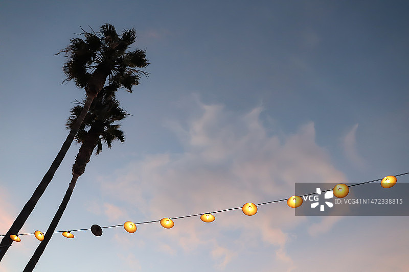 彩灯和棕榈树图片素材