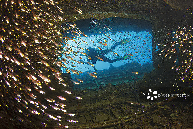 人水下水肺潜水红海礁，海洋生物玻璃鱼在沉船水下照片水肺潜水员的观点。图片素材