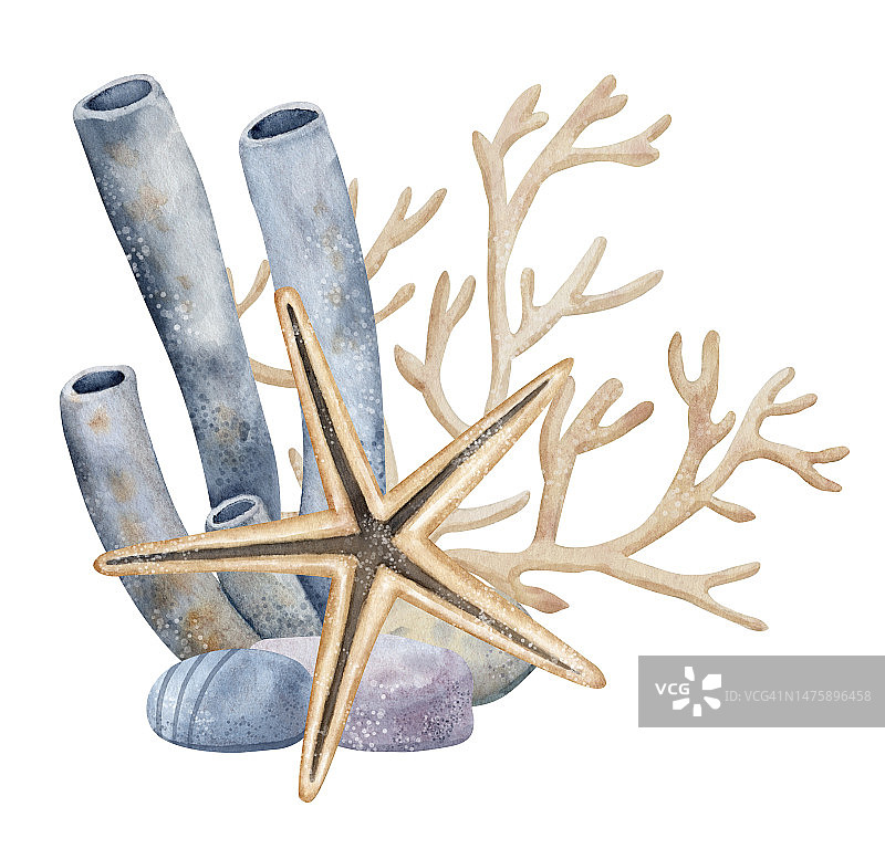 水下合成管珊瑚和海星在孤立的背景。手绘水彩海星和海藻的图标或标志插图。蓝色和米色的海底绘图图片素材
