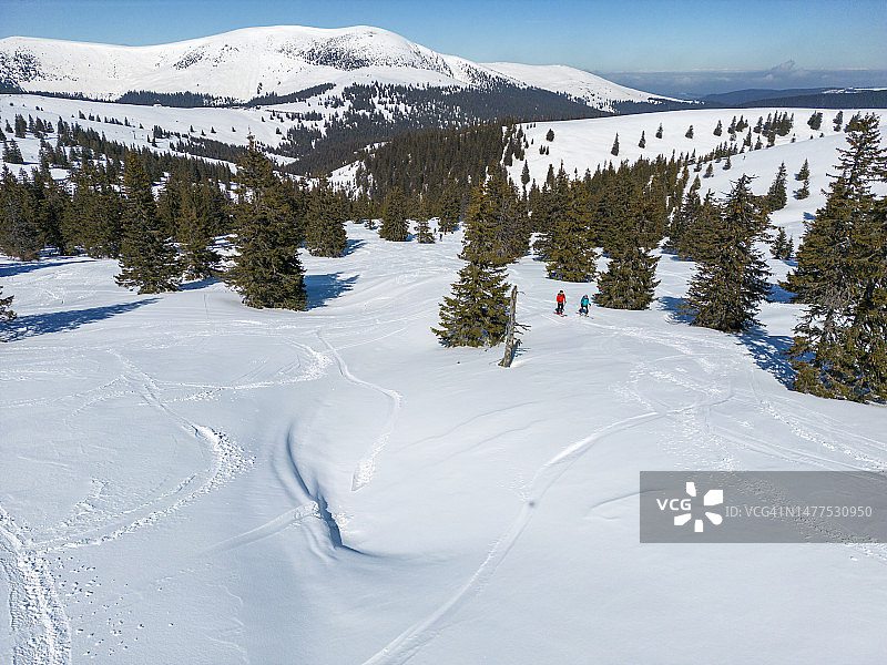 两名滑雪游客在通往山顶的白雪覆盖的山林中图片素材