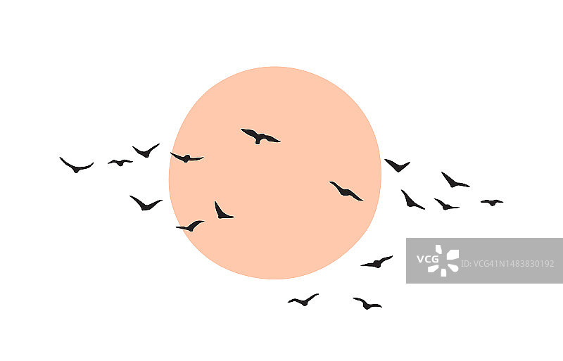 群鸟迎着太阳或月亮飞翔图片素材