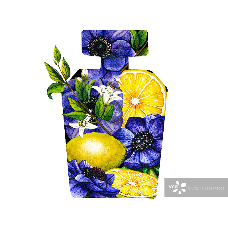 水彩花香水瓶与蓝色海葵和柠檬树枝与水果和花朵。手绘插图花芳香喷雾隔离在白色背景的贺卡，婚礼邀请和生日图片素材