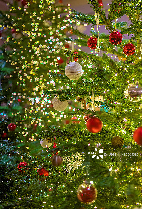 树上挂着漂亮的圣诞小玩意图片素材