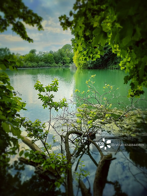 池塘被大自然环绕，绿树成荫图片素材