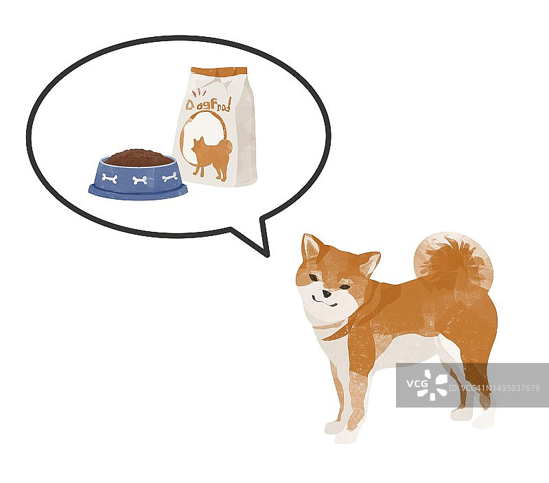 一只日本柴犬，想吃狗粮，说话冒泡一分料。图片素材