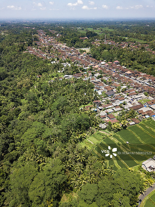 印度尼西亚巴厘岛乌布的稻田和村庄图片素材