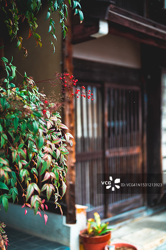 日本人房子入口处的灌木丛图片素材