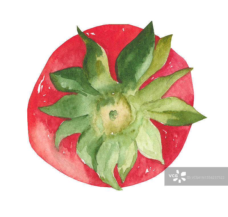 成熟的红草莓。水彩插图图片素材