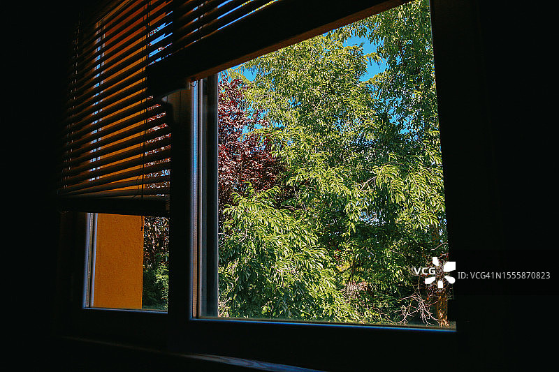 在炎热的夏日，窗外那棵树的景色。图片素材