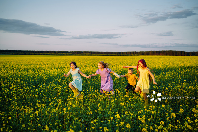 夕阳下，一个手臂骨折、打着石膏的女孩和朋友们在黄色的田野里玩耍图片素材