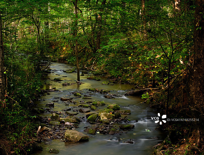 一条长时间暴露在阳光下的小溪缓缓流过一片茂密的森林图片素材