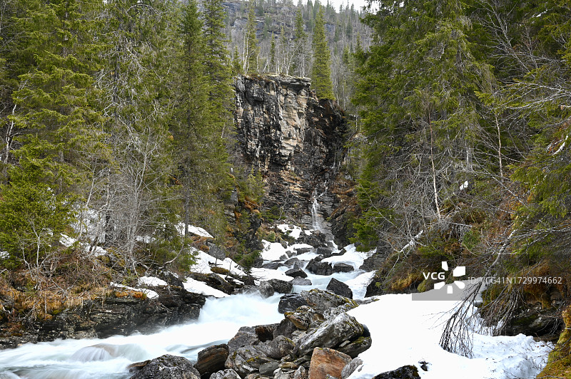 森林中溪流穿过岩石的风景图片素材