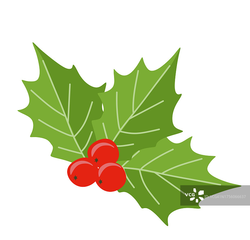 冬青莓图标。圣诞花的象征，矢量平面插图孤立在白色背景。圣诞装饰与浆果和树叶，传统的设计元素的模板，明信片，贴纸。图片素材