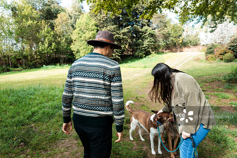 年轻的拉丁宠物主人和他们快乐的小狗在乡间散步的后视图。图片素材