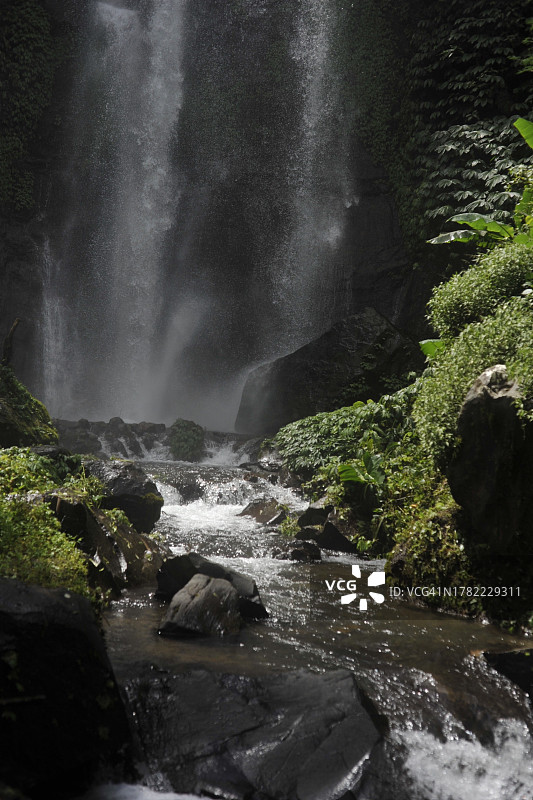 森林中瀑布的美景图片素材
