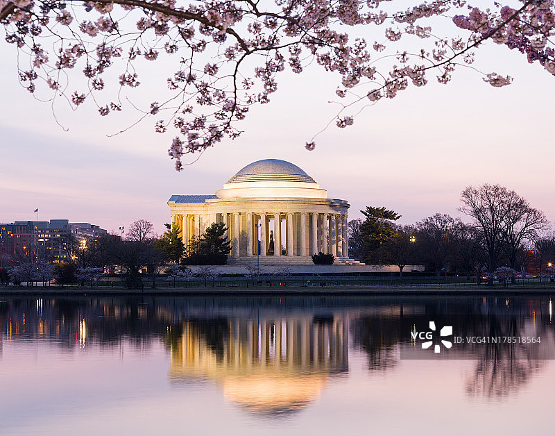 日出时的樱花和杰斐逊纪念堂图片素材