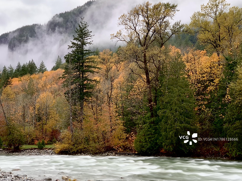 美国华盛顿州斯诺霍米什县，森林中树木与天空之间的河流风景图片素材