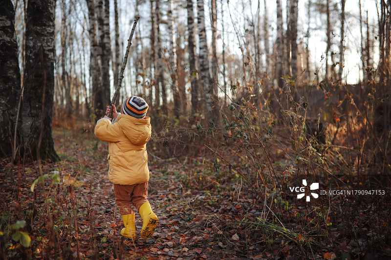 户外游戏时间:蹒跚学步的孩子热情地探索秋天的森林图片素材