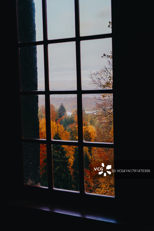 透过窗户看到秋天的树木图片素材