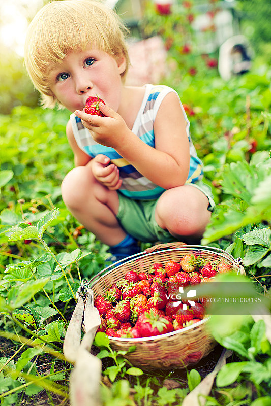 草莓可爱的男孩图片素材