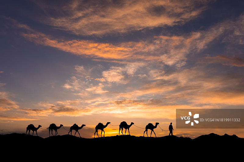 日落时分沙漠中的骆驼商队图片素材