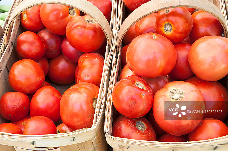 红色成熟的西红柿图片素材