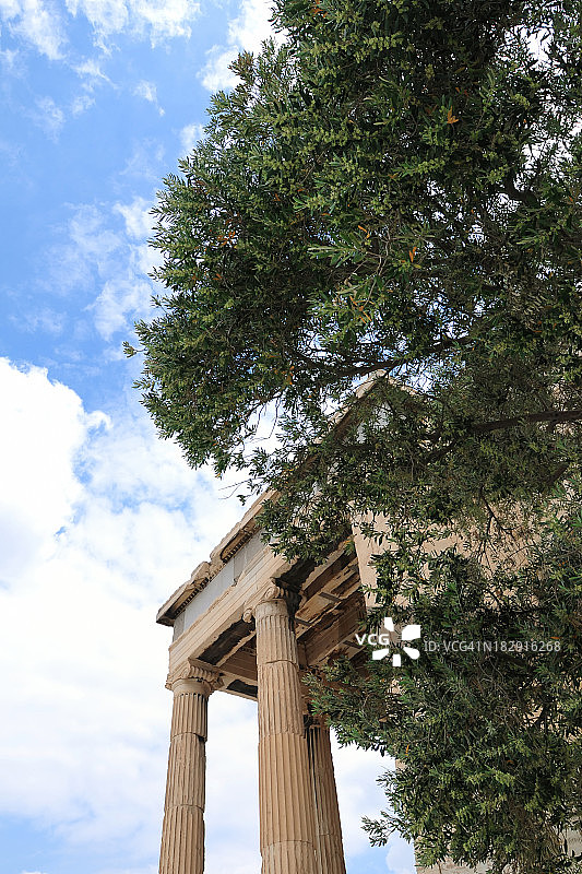 卫城和橄榄树- XLarge图片素材
