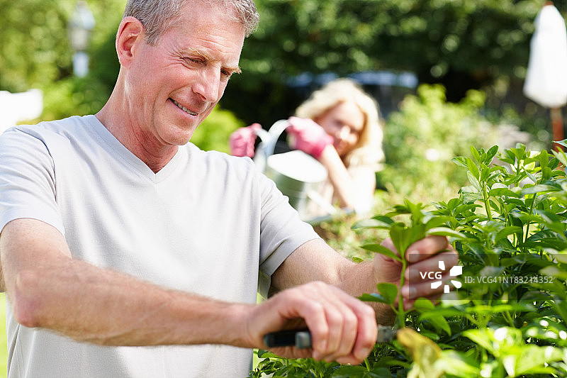 快乐的老男人修剪植物与模糊的女人在背景图片素材