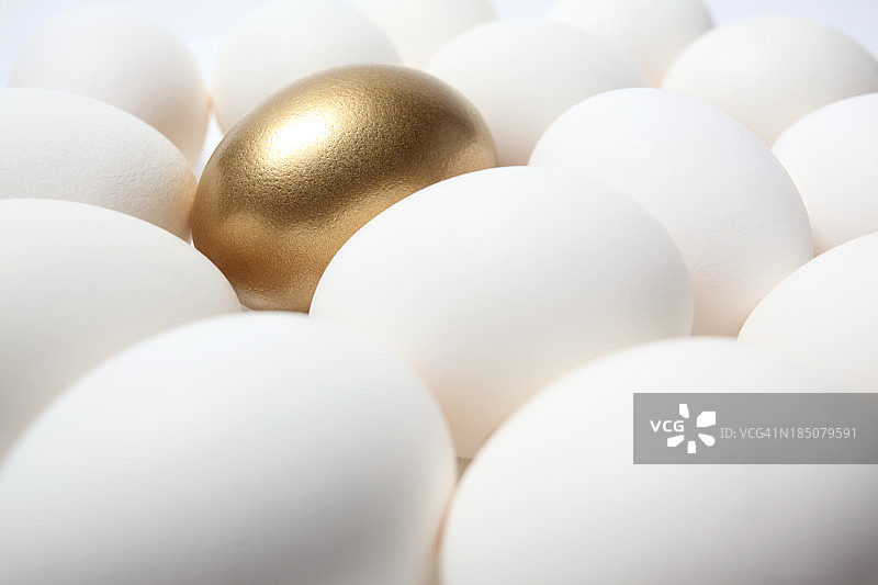金蛋在许多白蛋中间图片素材